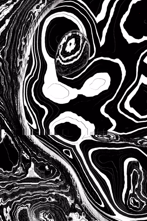 Item #49000066 Media