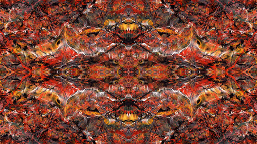 Item #21000061 Media