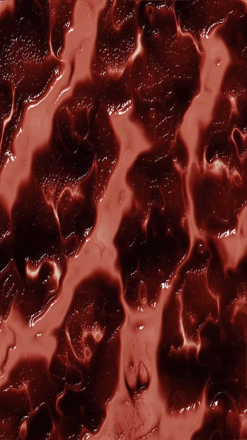 Item #67000057 Media