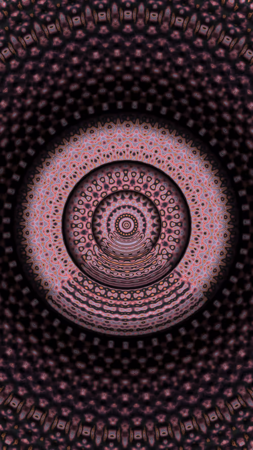 Item #38000013 Media