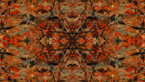 Item #21000044 Media