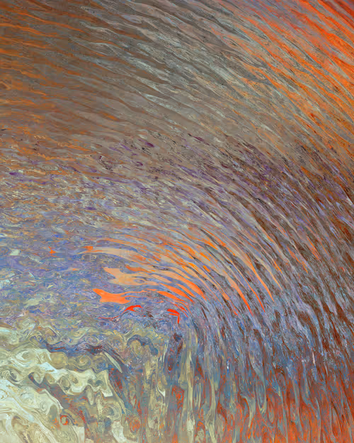 Item #29000079 Media