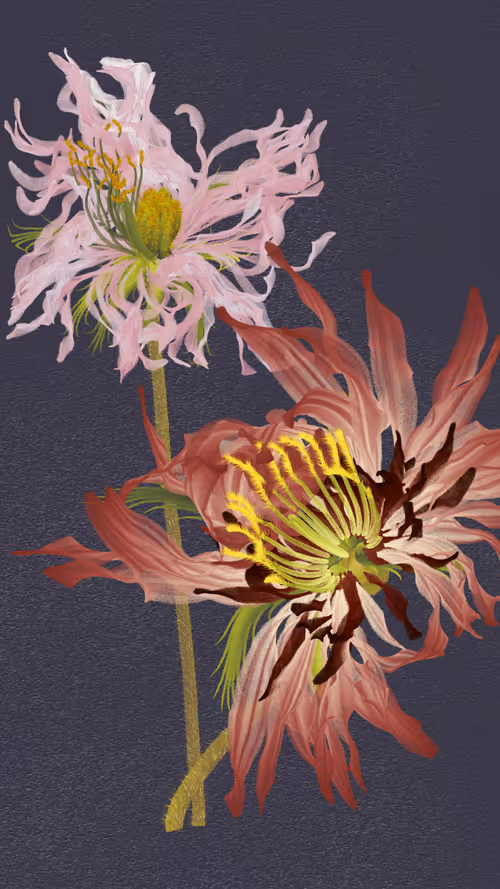 Item #66000036 Media