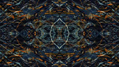 Item #21000002 Media