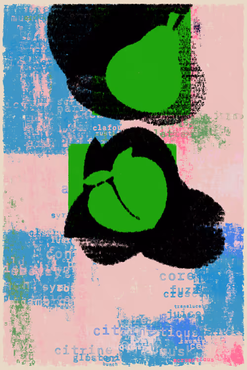 Item #79000084 Media