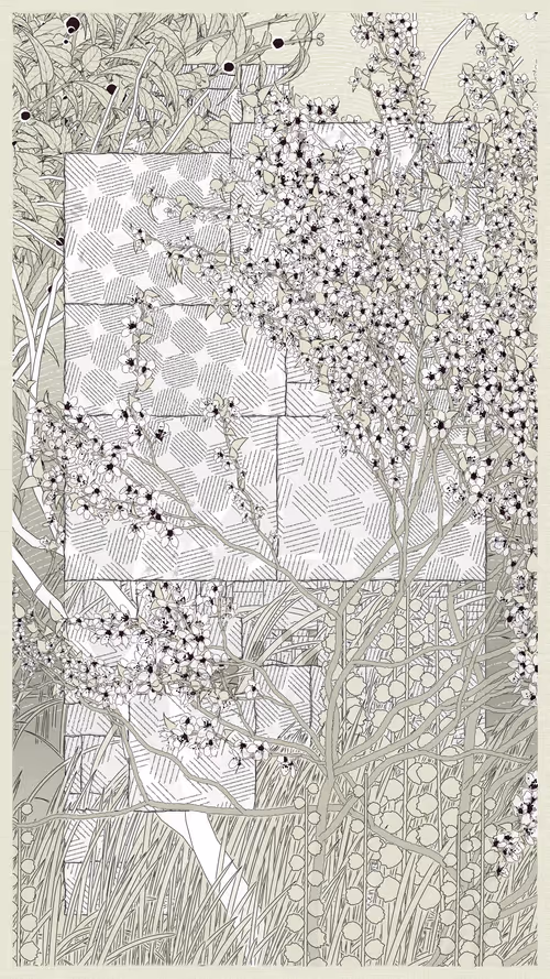 Item #52000002 Media