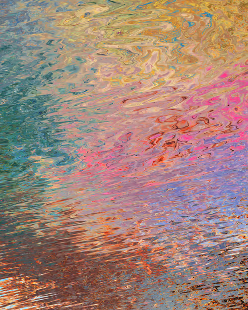 Item #29000020 Media