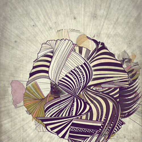 Velum #81