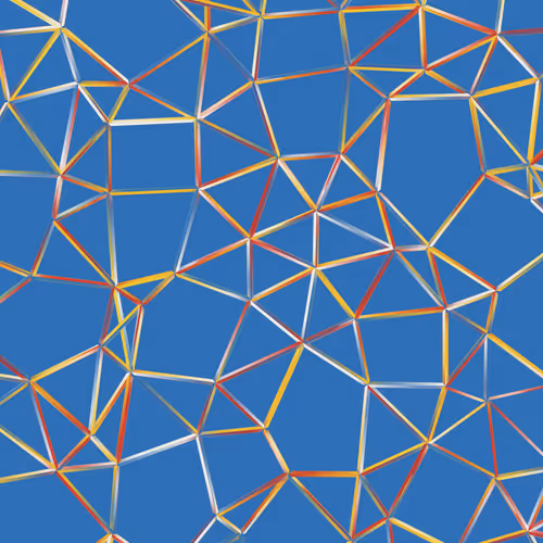 Network C #79