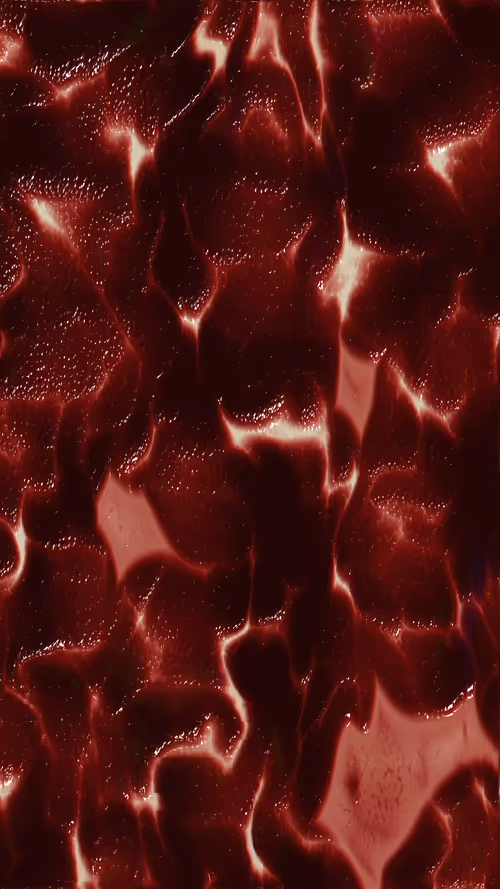 Item #67000052 Media