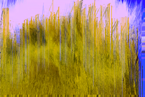 Item #70000064 Media