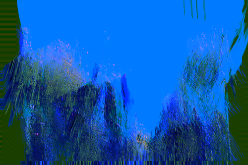 Item #70000009 Media