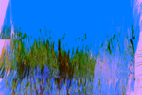 Item #70000042 Media