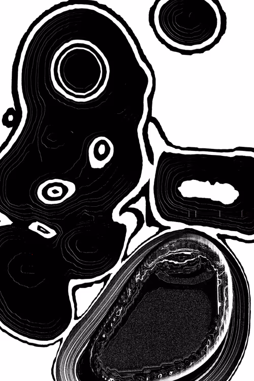 Item #49000068 Media