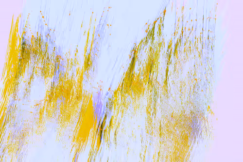 Item #70000039 Media