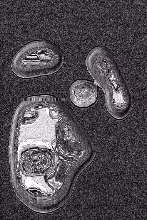 Item #49000092 Media