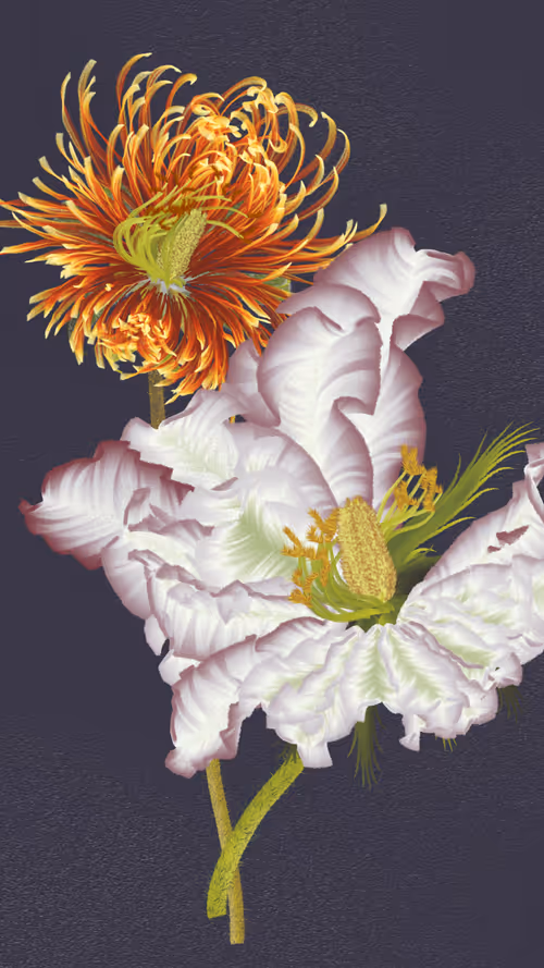 Item #66000037 Media