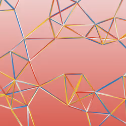 Network C #58