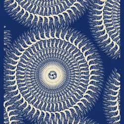 Intricada #241