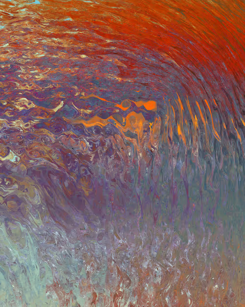 Item #29000071 Media