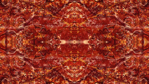 Item #21000006 Media