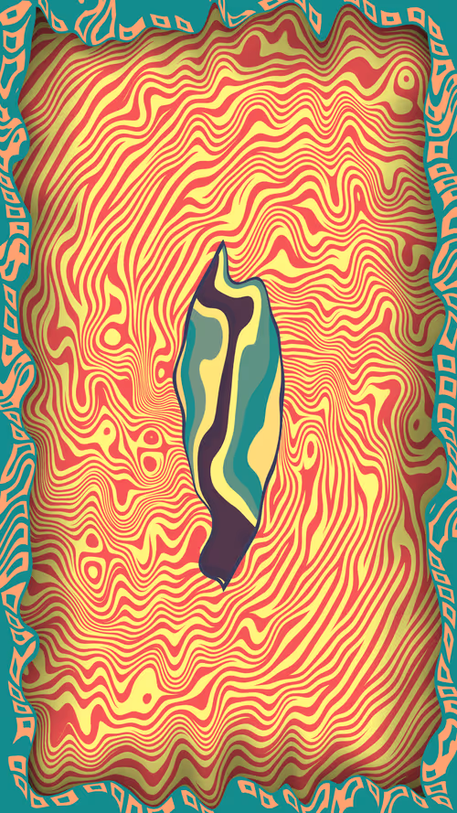 Item #17000199 Media