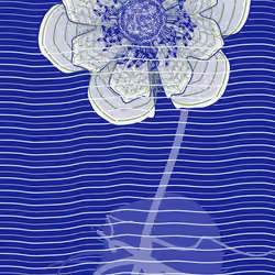 Underwater #82