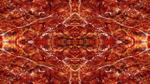 Item #21000074 Media