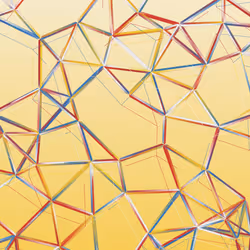 Network C #91