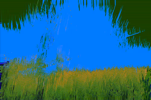 Item #70000001 Media