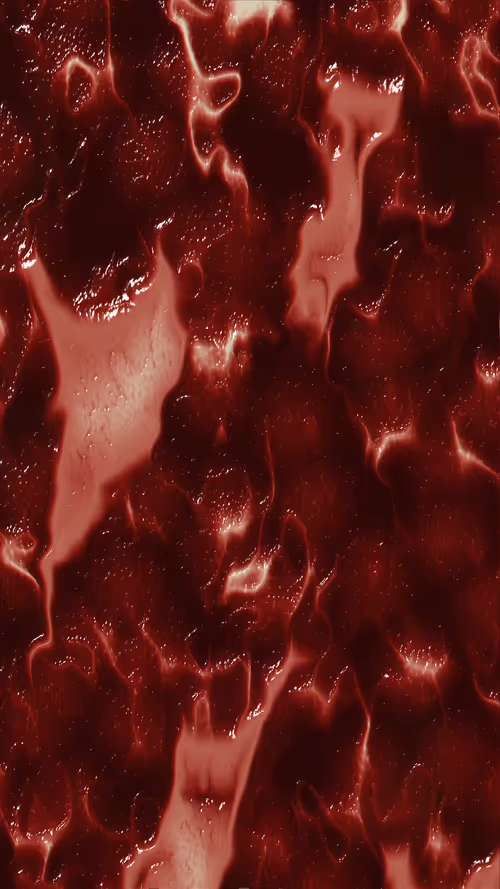 Item #67000066 Media