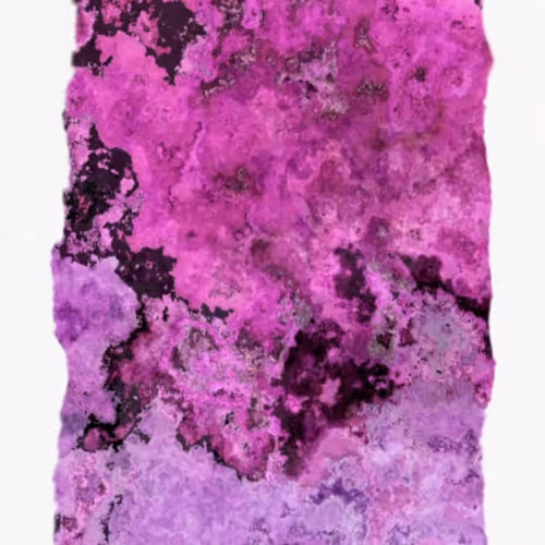 Ntentart