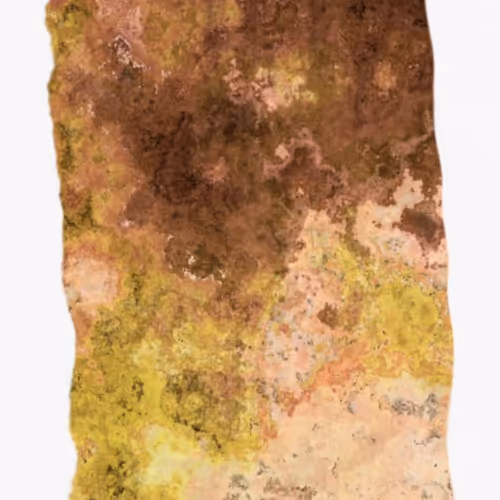 Ntentart