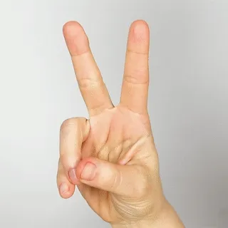 Ntentart