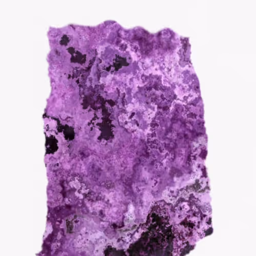 Ntentart