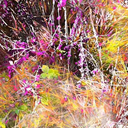 Autonomous Forest Plots