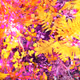 200