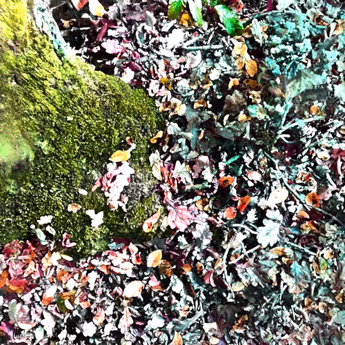 Autonomous Forest Plots