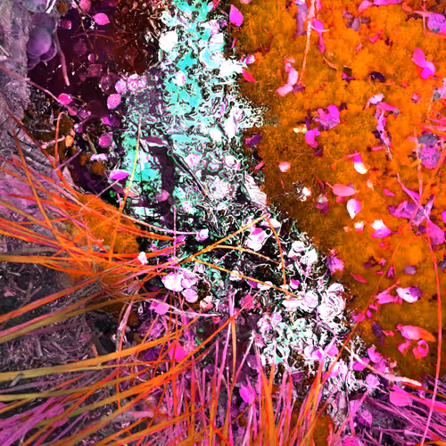 Autonomous Forest Plots