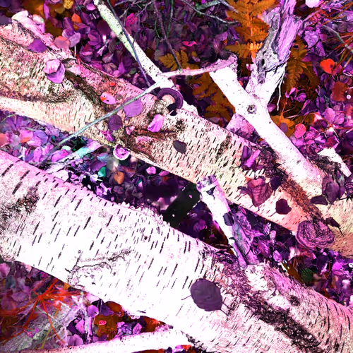 Autonomous Forest Plots
