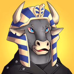 Richbulls #126