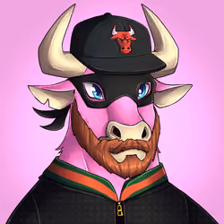 Richbulls #2353