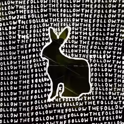 Follow The White Rabbit #8/44