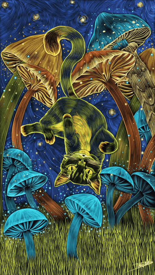 Item #20500060039 Media