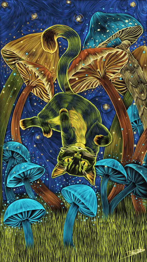 Item #20500060026 Media