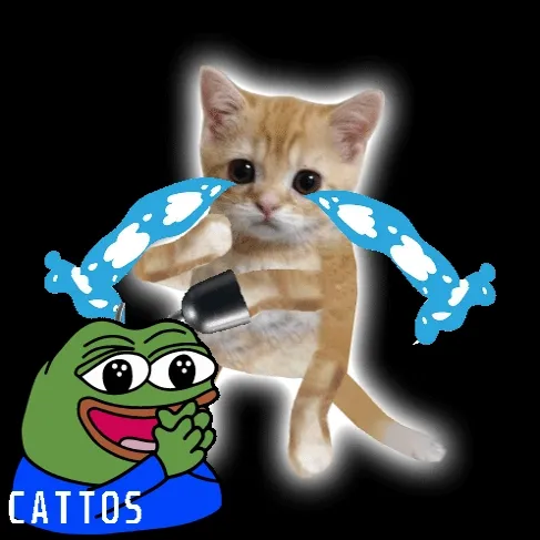 Cattos Nft