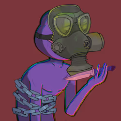 255