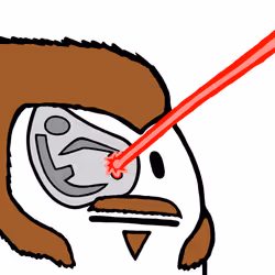 494