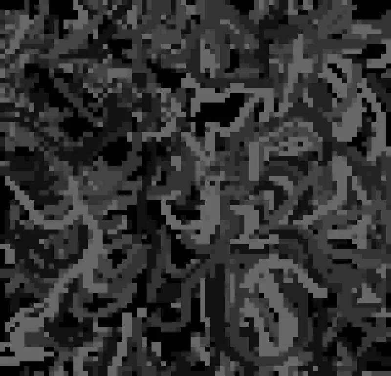 Filaments #472