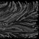 97